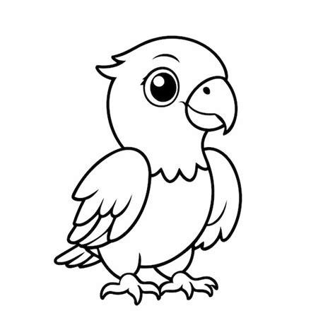 Image result for Simple Parrot Cartoon Drawing