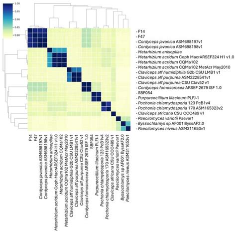 Purpureocillium lilacinum SBF054: Endophytic in Phaseolus vulgaris ...