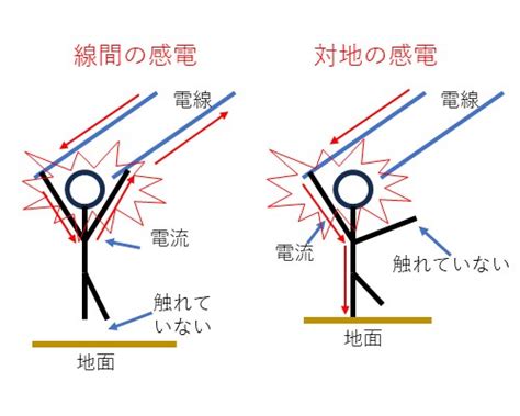 Library Management System に対する画像結果