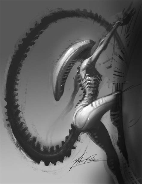 Human-Xenomorph female : r/Spacegirls