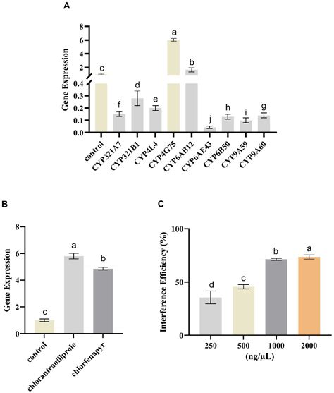 Function of the Resistance Gene CYP4G75 in the Fall Armyworm Spodoptera ...