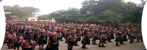 Little Scholar School