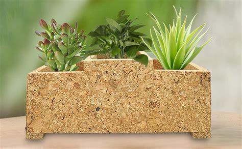 Naayaab Craft Eco Friendly 3 Hole Planter | Cork 3 Hole Flower Vase | 3 ...