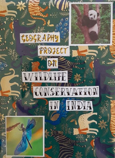 Cover Page for Geography Project 的图像结果