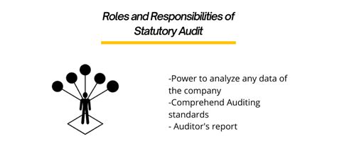 Roles and Responsibilities of Statutory Audit