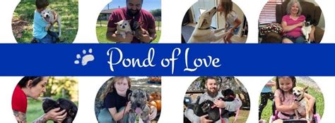 Image result for Voluntary Surrender of Animals