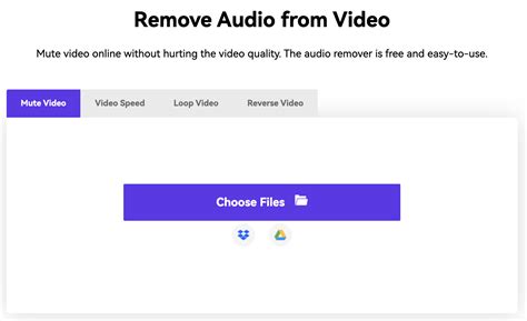 Image result for Remove Audio From Video Software