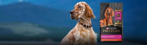 Alimento para perros Purina Pro Plan | Purina