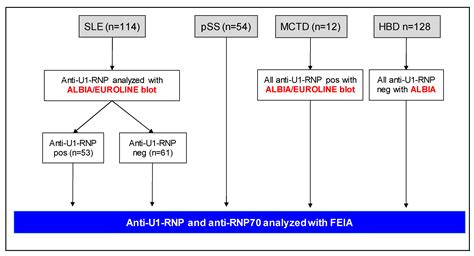 Doubtful Clinical Value of Subtyping Anti-U1-RNP Antibodies Regarding ...