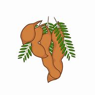 Image result for Types of Tamarind