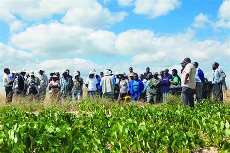 Financing agric in Zim: What are the challenges, opportunities? - The Zimbabwe Independent