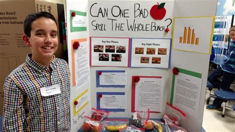Awesome Science Fair For 10th Graders
