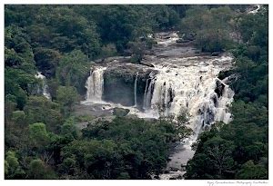 Top 18 things to do in Attappadi (Updated Feb 2025)