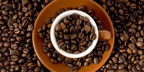 巴西咖啡四大处理法有哪些？（三） | EHS咖啡西点培训学院
