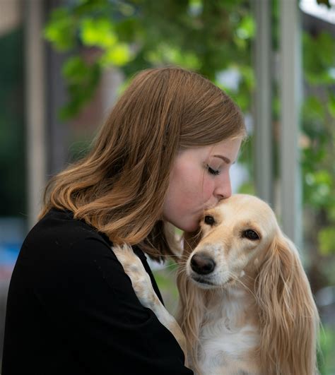 Do Dogs Understand Kisses? Insights into Canine Cognition