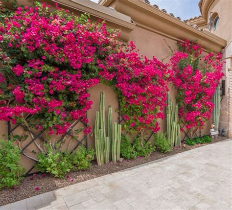Best 13 Arizona Backyard Landscaping Ideas for Your Oasis – Artofit