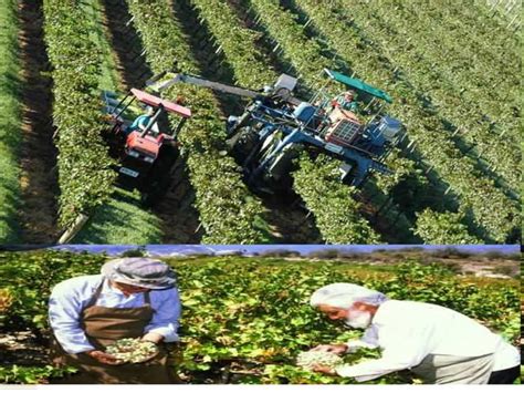 Image result for How We Prepare PPT On Computer