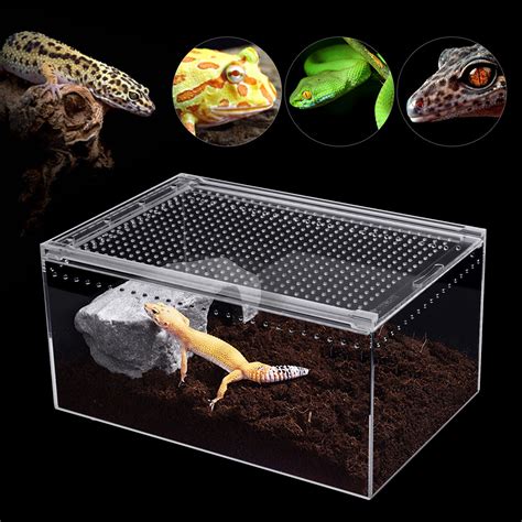 Magnetic Acrylic Large Enclosure 2.5 Gallon Reptile India | Ubuy