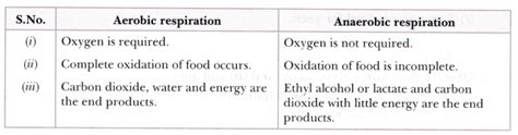 List the similarities and differences between aerobic and anaerobic ...