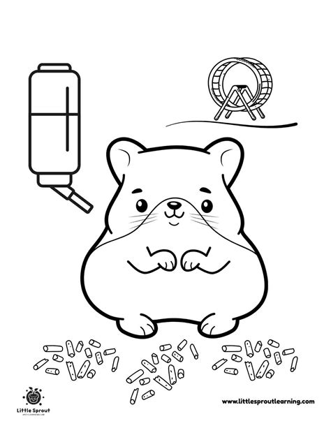 10 Free Hamster Coloring Pages That Kids Will Absolutely Love - Little ...