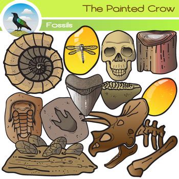 Prehistoric Fossils Clip Art Set by The Painted Crow | TpT