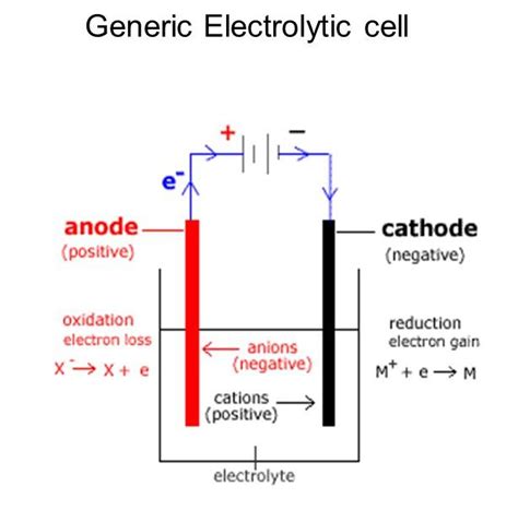 Image result for Simple Electrolytic Cell