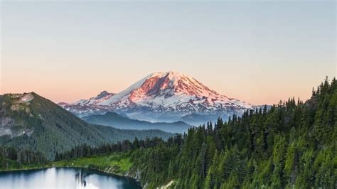 Image result for Nature Sample