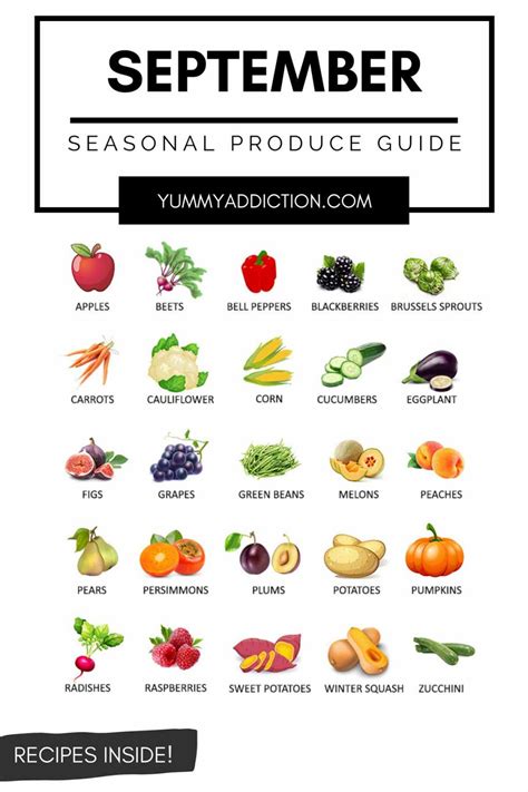 Fruits and Vegetables in Season in September - Seasonal Produce Guide!