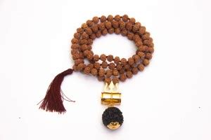 Sarvaksh 5 Mukhi Brown Rudraksha Mala(108+1) With Brass Trishul ...