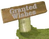 Electronic Wishing Well