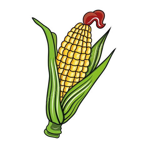 Corn Cob Clipart at Minnie Clark blog