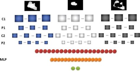 Image result for Evolutionary Learning Neural Network