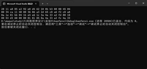 Using WinPcap 的图像结果