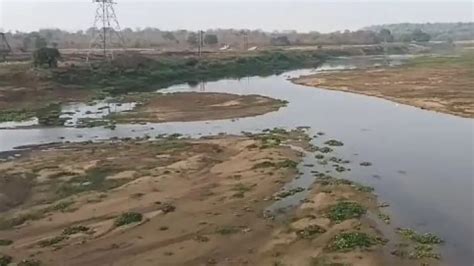 Odisha’s parched Mahanadi gets water as Chhattisgarh releases water ...