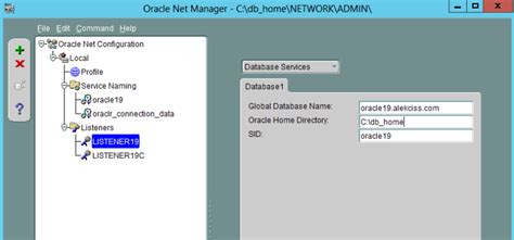 Image result for Monitor Oracle Listener