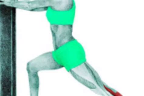 34 Amazing Illustrations That Show Which Muscle Groups Are Affected ...