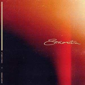 Señorita (Shawn Mendes and Camila Cabello song) - Wikipedia