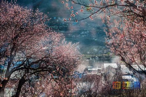 北京开往春天的列车在哪儿及最佳拍摄地点_旅泊网