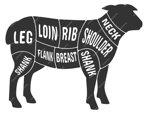 Lamb Meat Cuts Chart