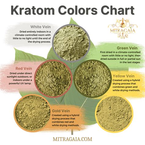 Best White Kratom Strain at Ruby Vannatter blog