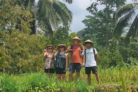 (2026 Tickets) Walking on Rice Terraces, Rinjani Geopark and Explore ...