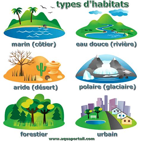 Un habitat, qu'est-ce que c'est?