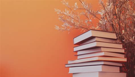 Presentation Format 的图像结果