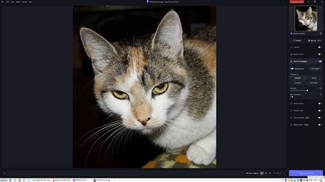 Plug in for Affinity Photo - General - Topaz Community