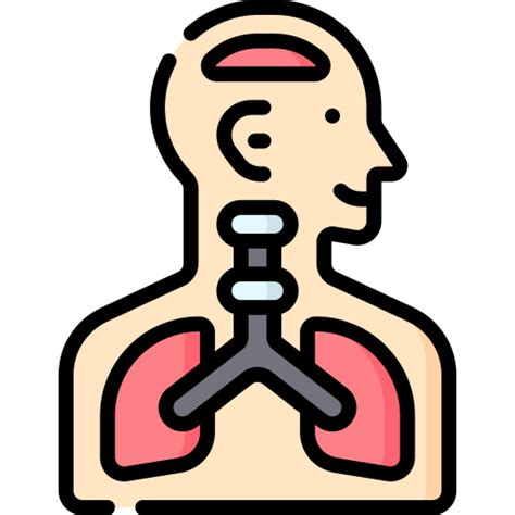 Physiologie - Icônes soins de santé et médical gratuites