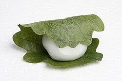 Image result for Free Code Camp HTML Lesson 56