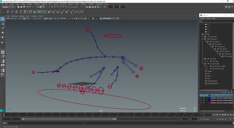 3D Smallest Cetacean Vaquita Rigged for Maya | 3D Molier International