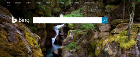 Bing Search Settings 的图像结果