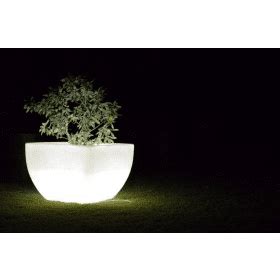 Illuminated Planters Cubico – Plants Depot – Wholesale Plants & Trees ...