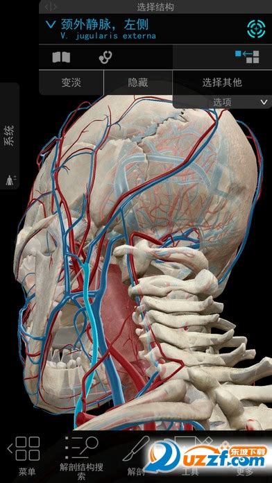 Abook-新形态教材网-系统解剖学